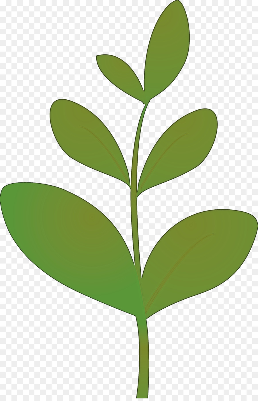 Hoja，Planta PNG