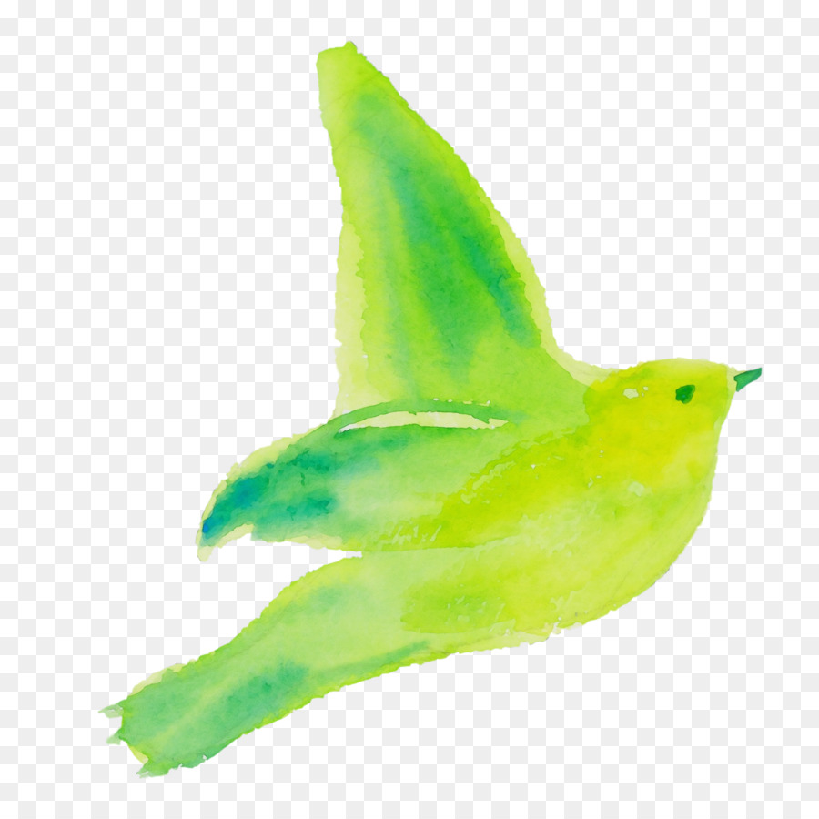 Pájaro Verde，Vuelo PNG