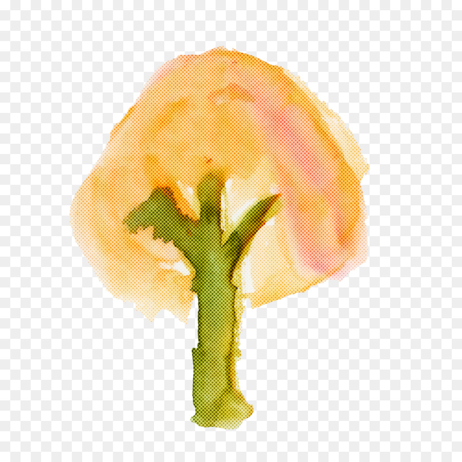 Vegetal，Planta PNG