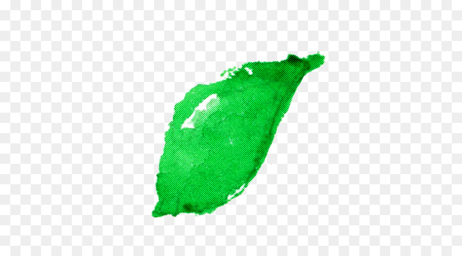 Verde，Hoja PNG