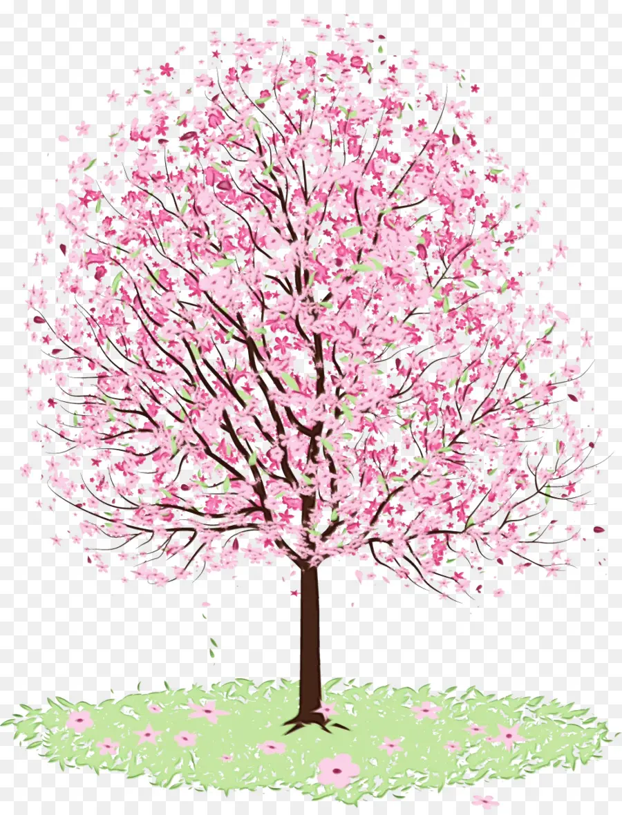 Árbol De Cerezo En Flor，árbol En Flor PNG