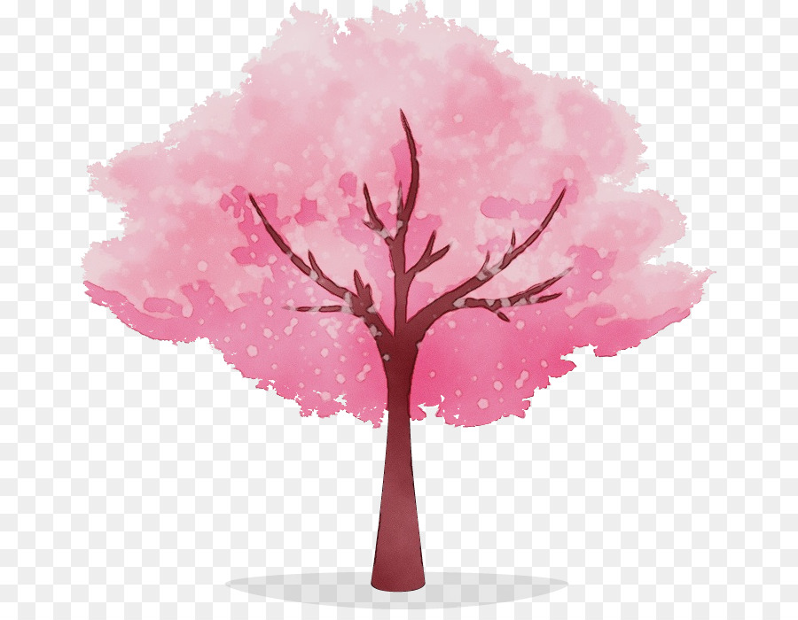 Árbol，Rosa PNG