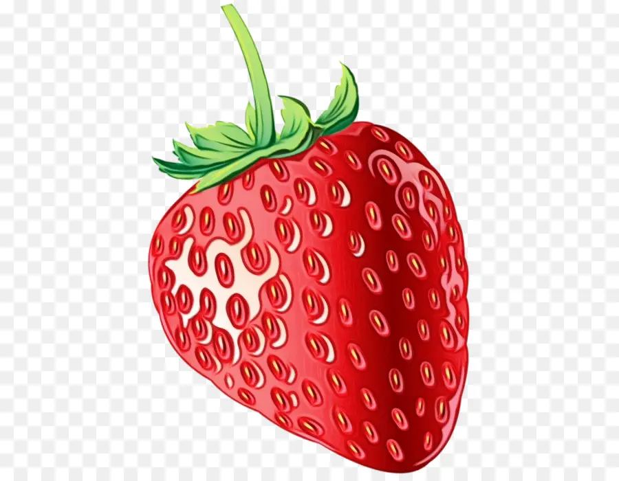 Fresas，Rojo PNG