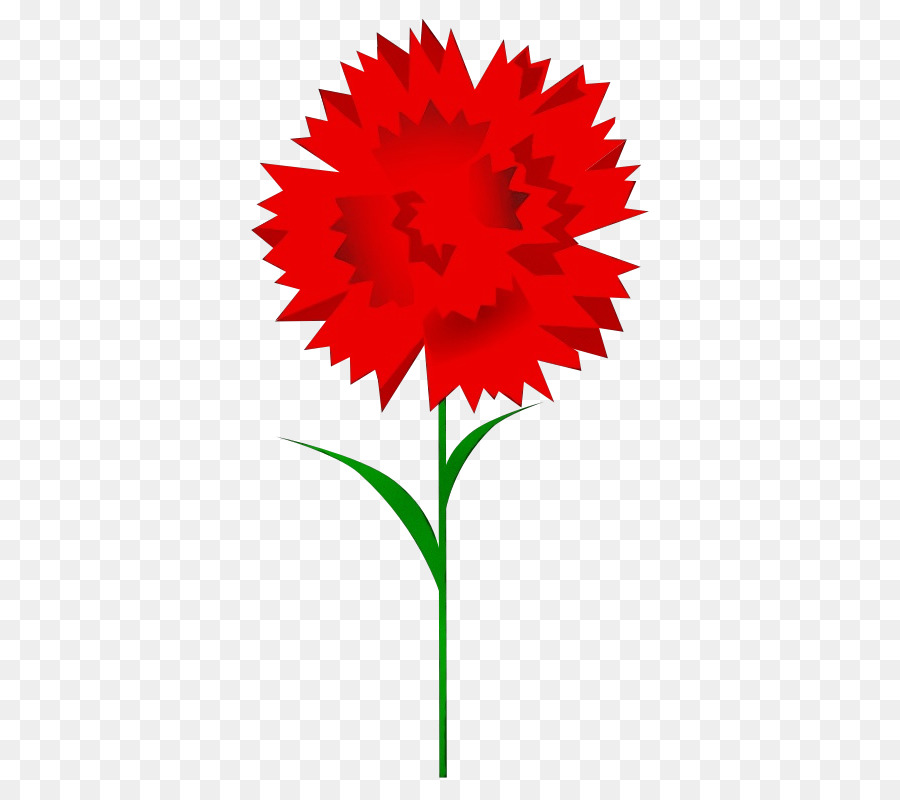 Flor，Rojo PNG