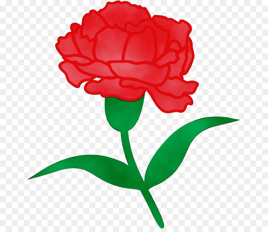 Flor，Rojo PNG