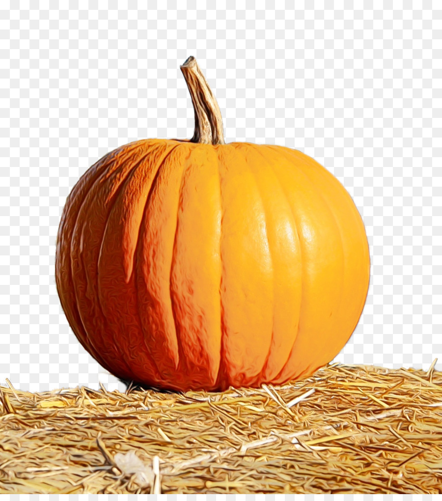 Calabaza，Calabaza De Invierno PNG