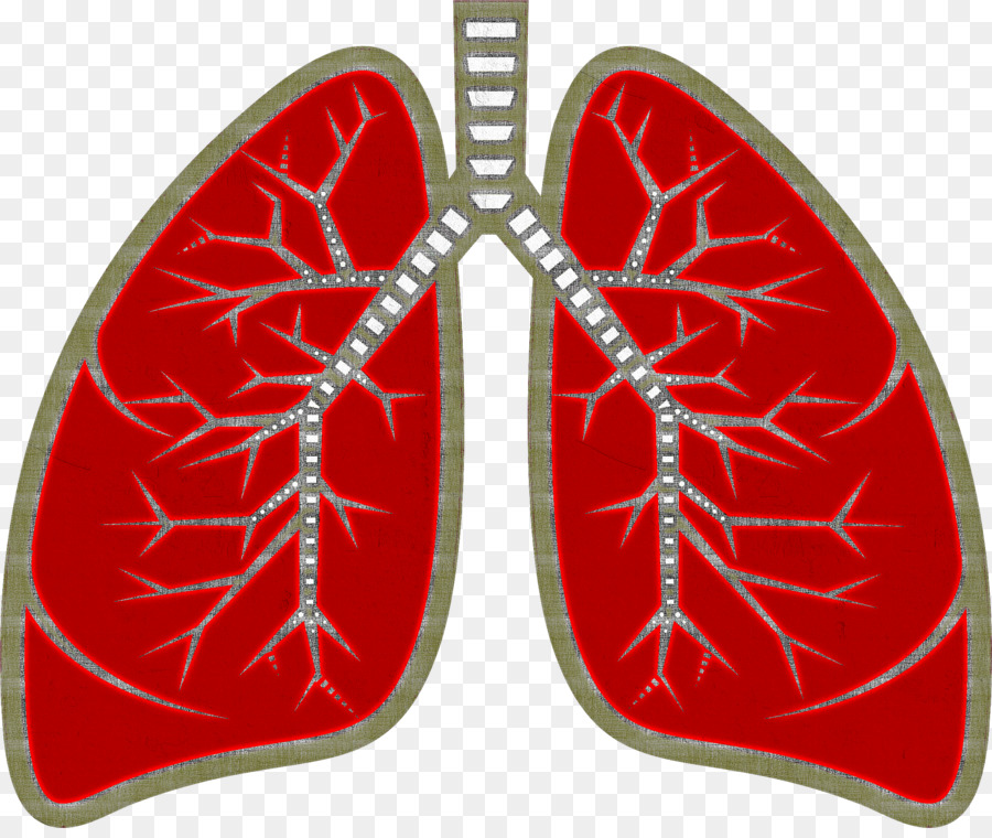 Pulmones，Respiratorio PNG