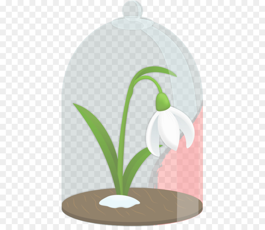 Campanilla De Invierno，Maceta PNG