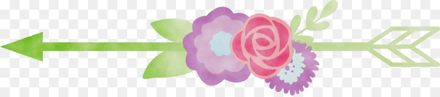 Rosa，Violeta PNG