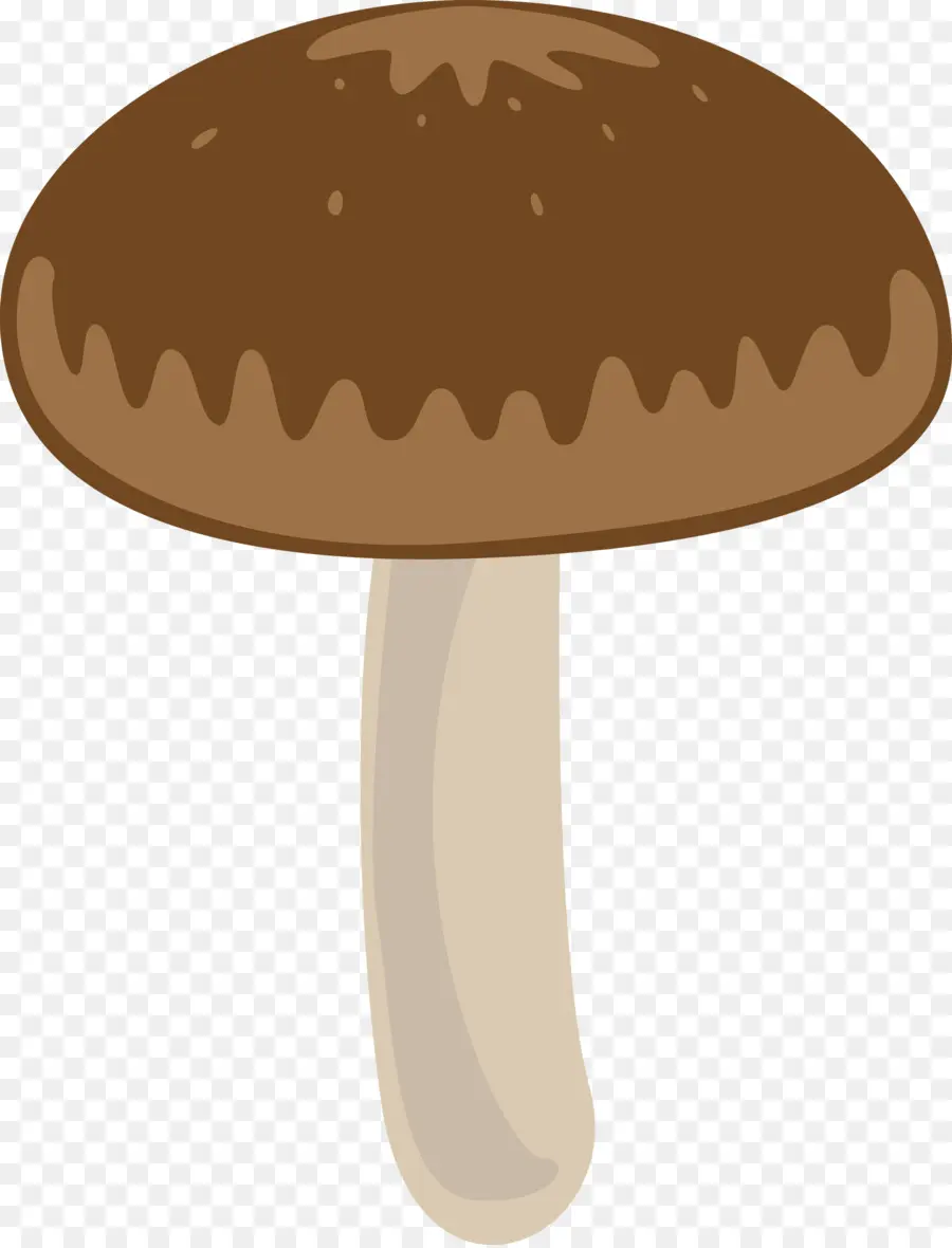 Seta，Shiitake PNG