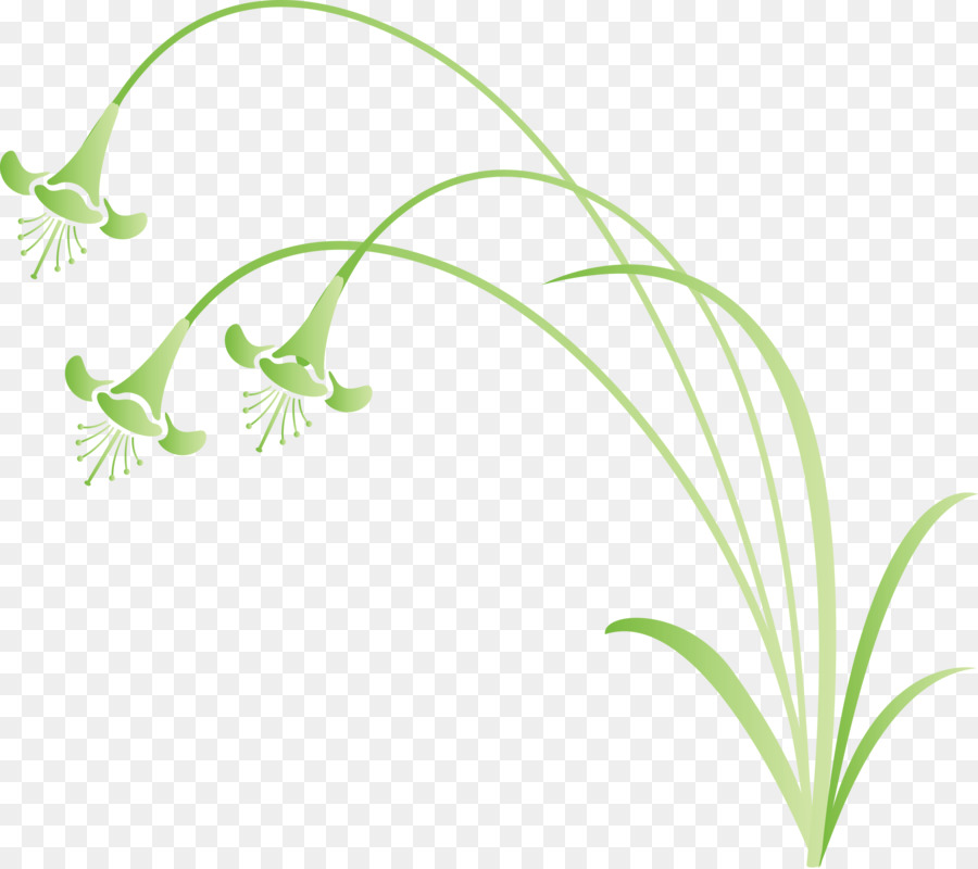 Verde，Planta PNG