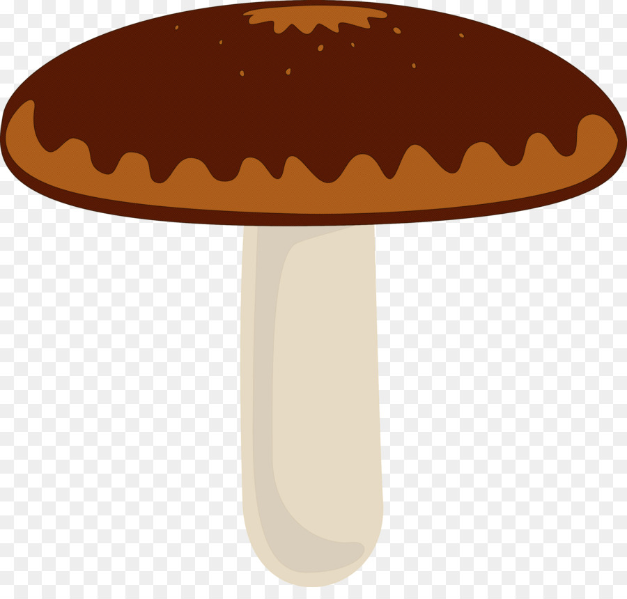 Seta，Shiitake PNG