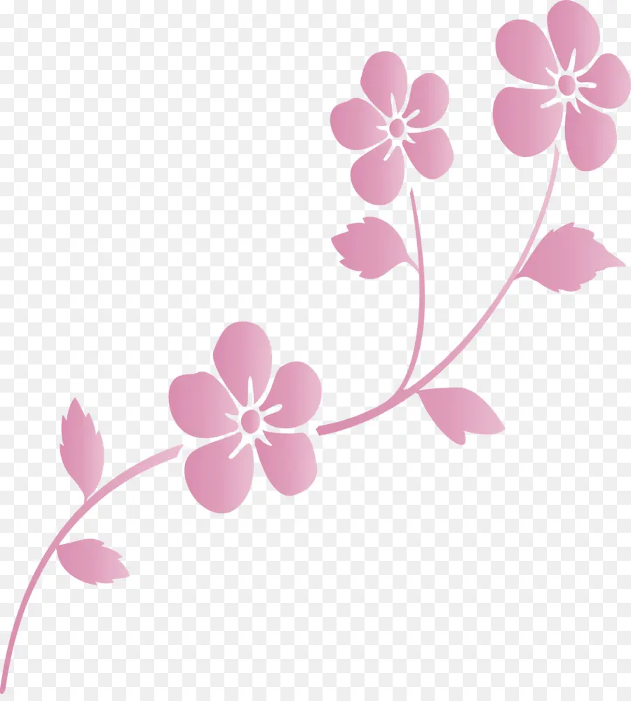 Flores Rosadas，Florecer PNG