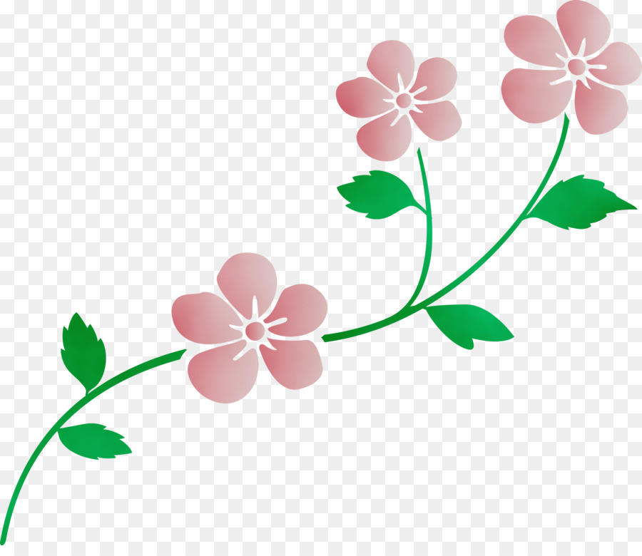 Flor，Planta PNG