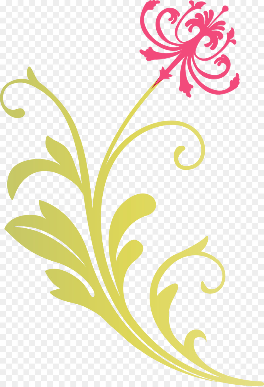 Diseño Floral，Patrón PNG