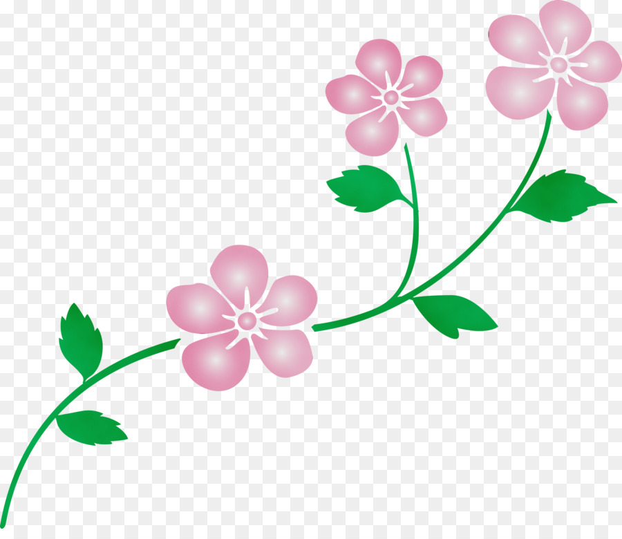 Flores Rosadas，Florecer PNG