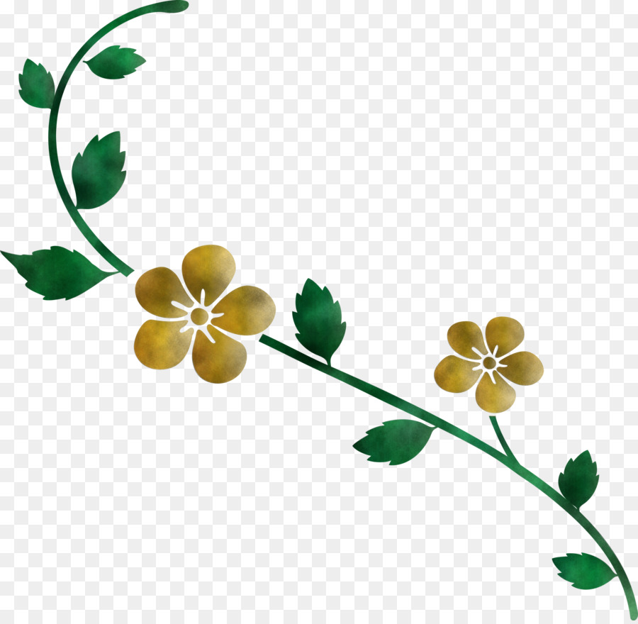 Flor，Planta PNG