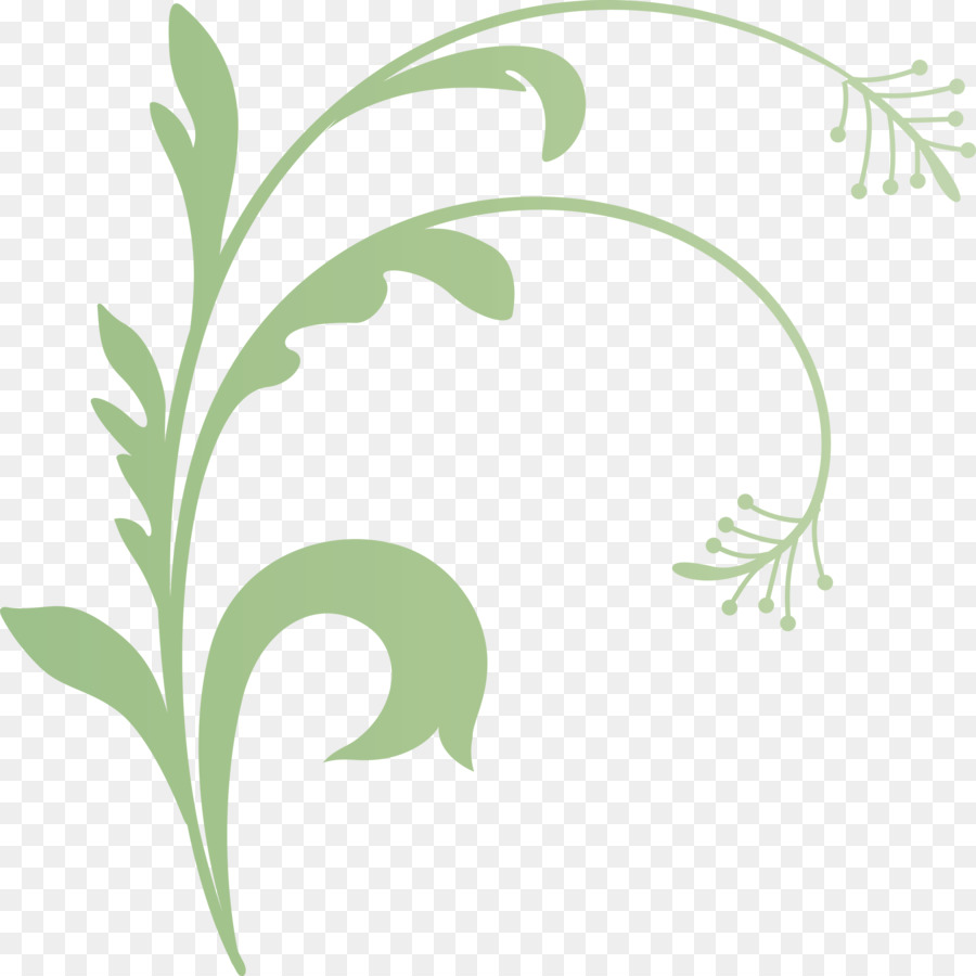 Hoja，Planta PNG