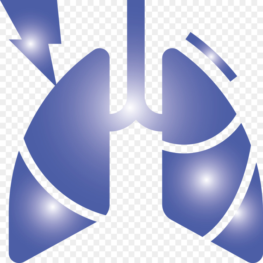 Pulmones，Respiratorio PNG