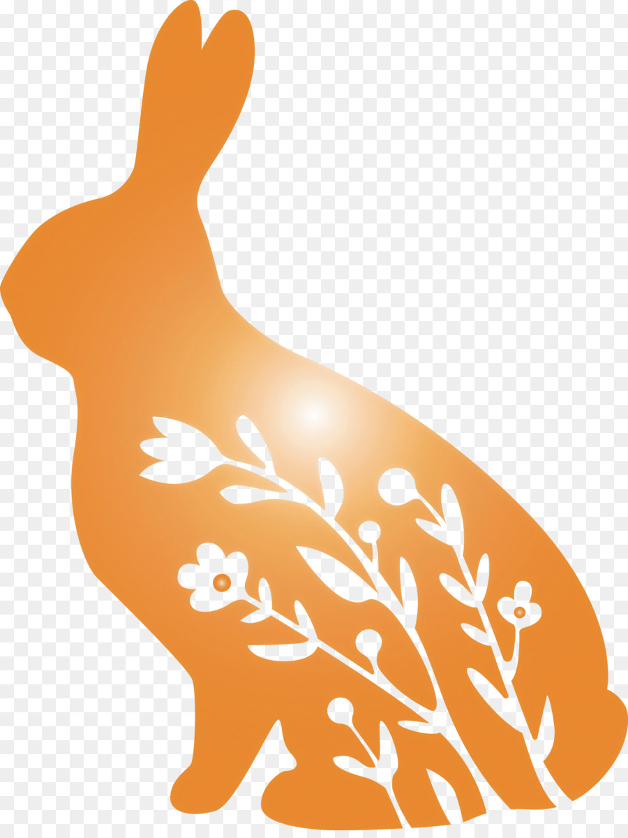 Animal Figura，Conejo PNG