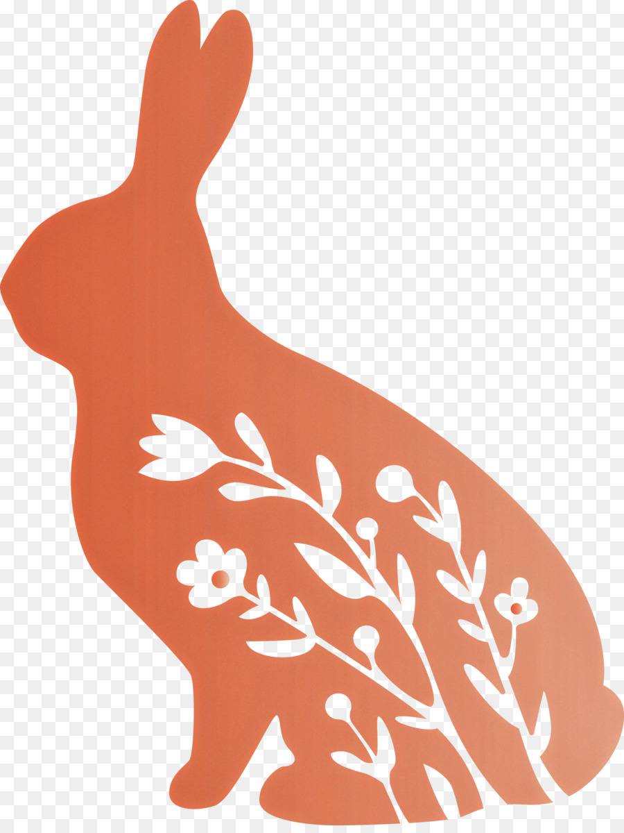 Animal Figura，Conejo PNG