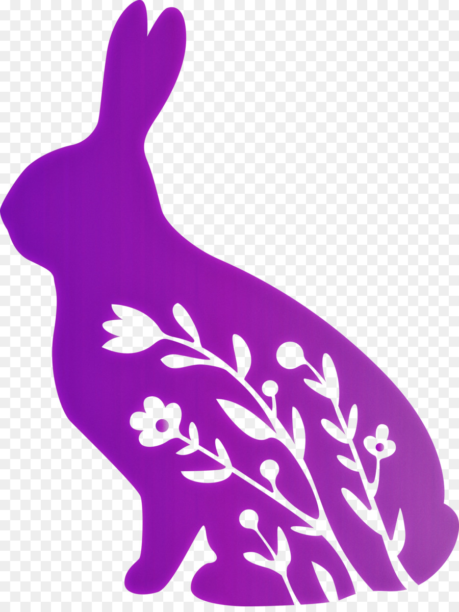 Violeta，Conejo PNG