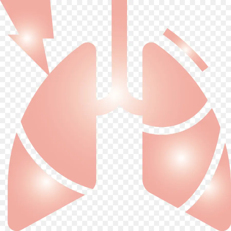 Pulmones，Respiratorio PNG