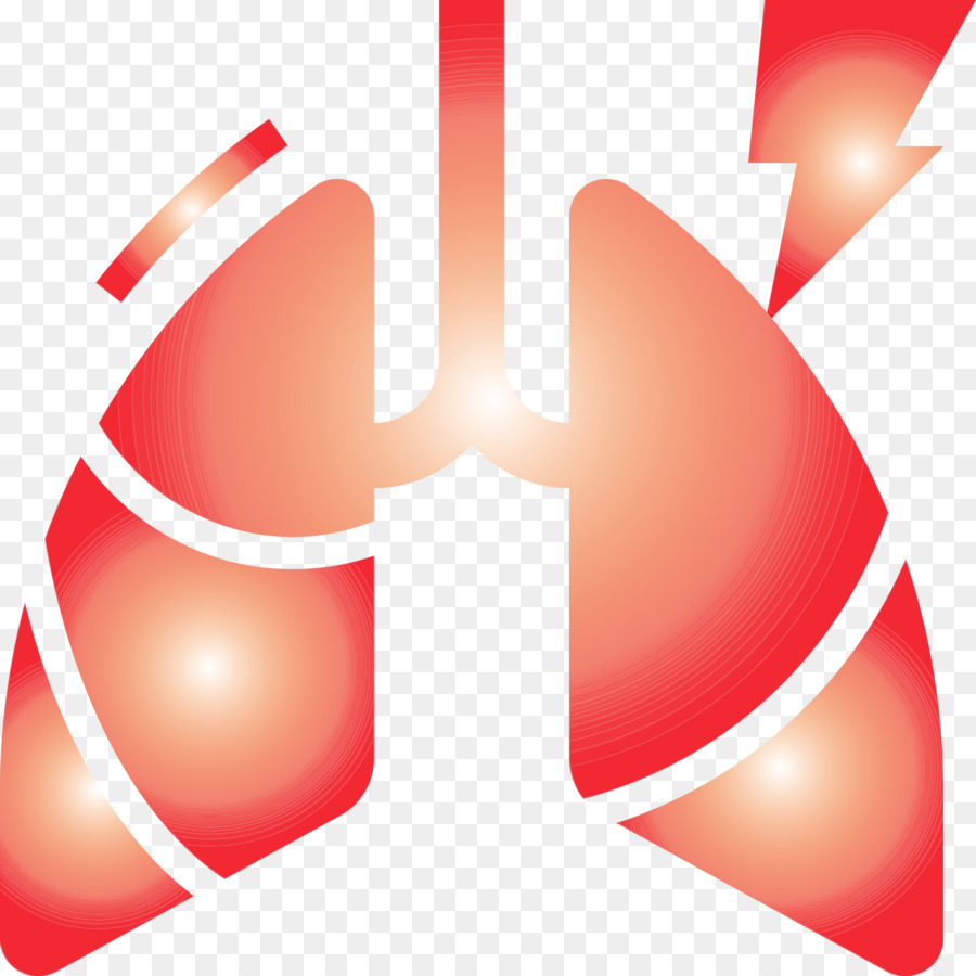 Pulmones，Respiratorio PNG