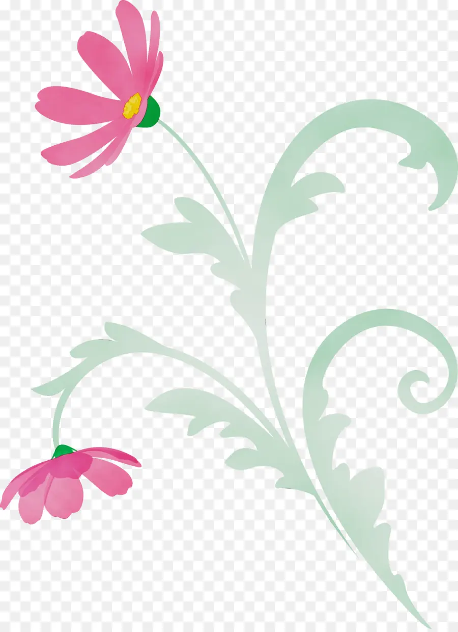 Flor，Planta PNG