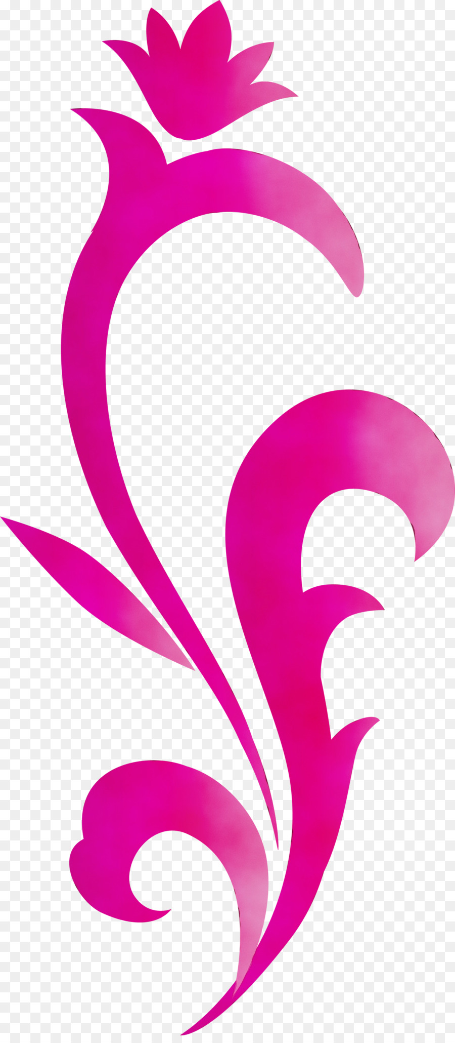 Rosa，Magenta PNG