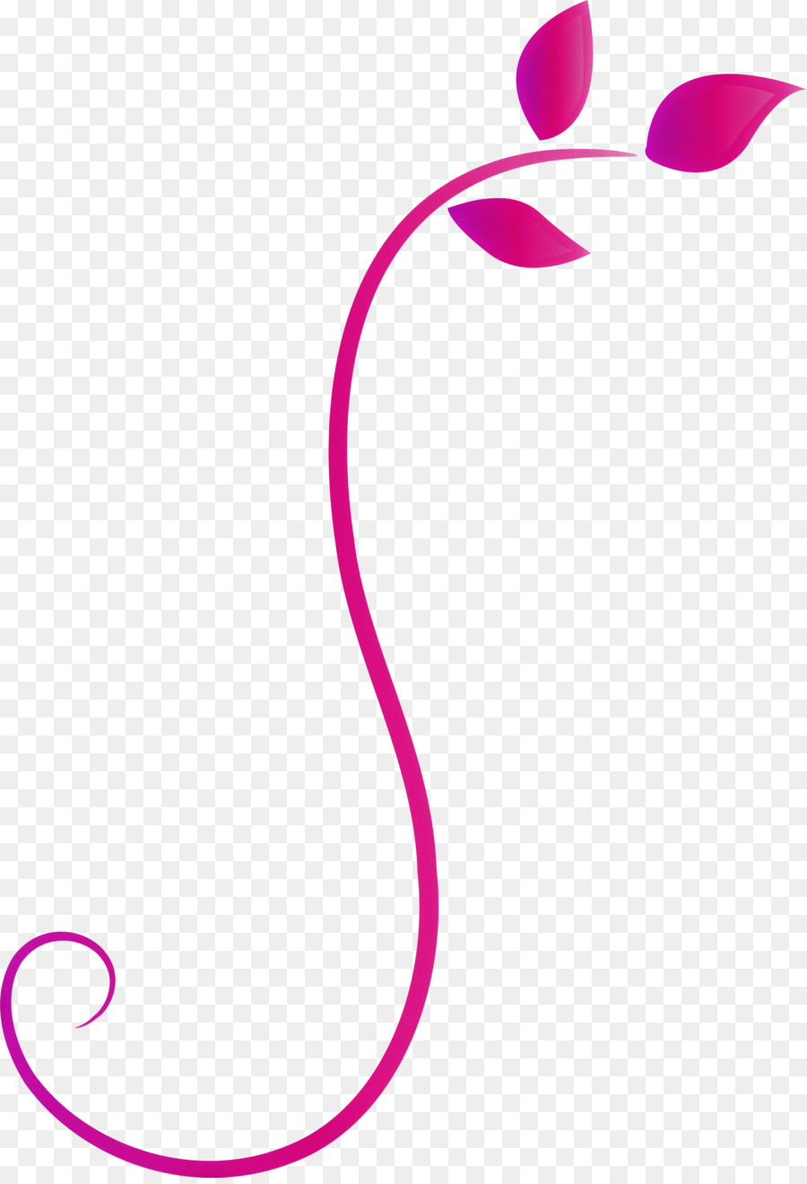 Rosa，Magenta PNG