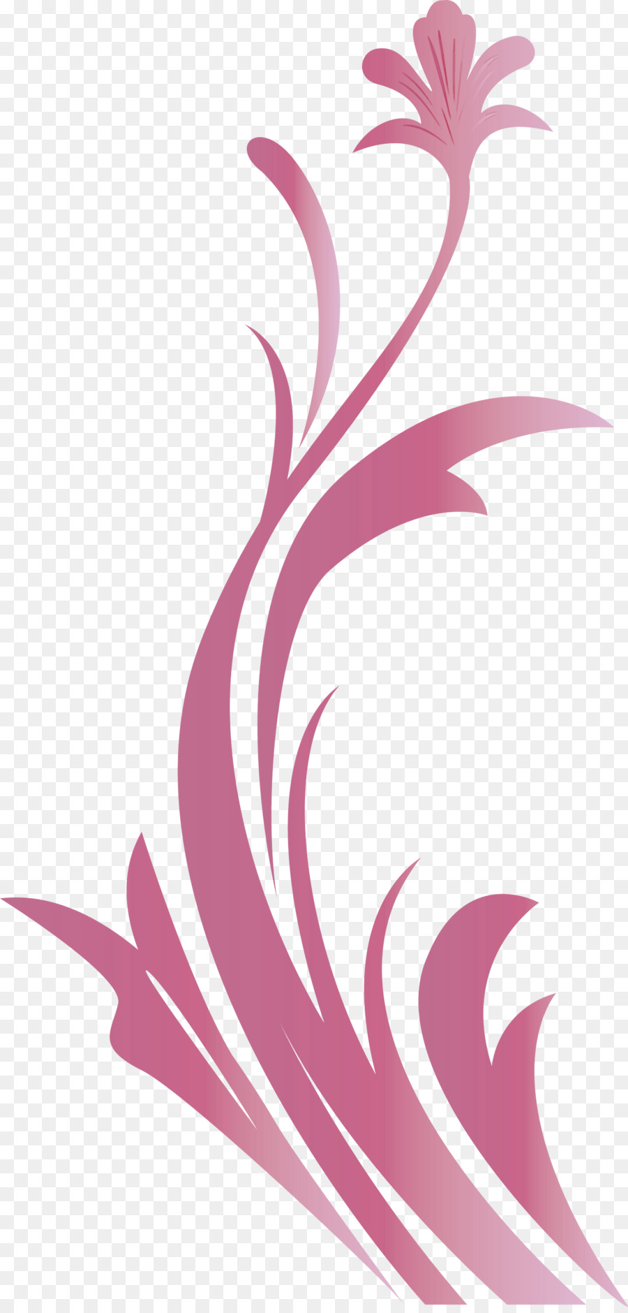 Rosa，Violeta PNG