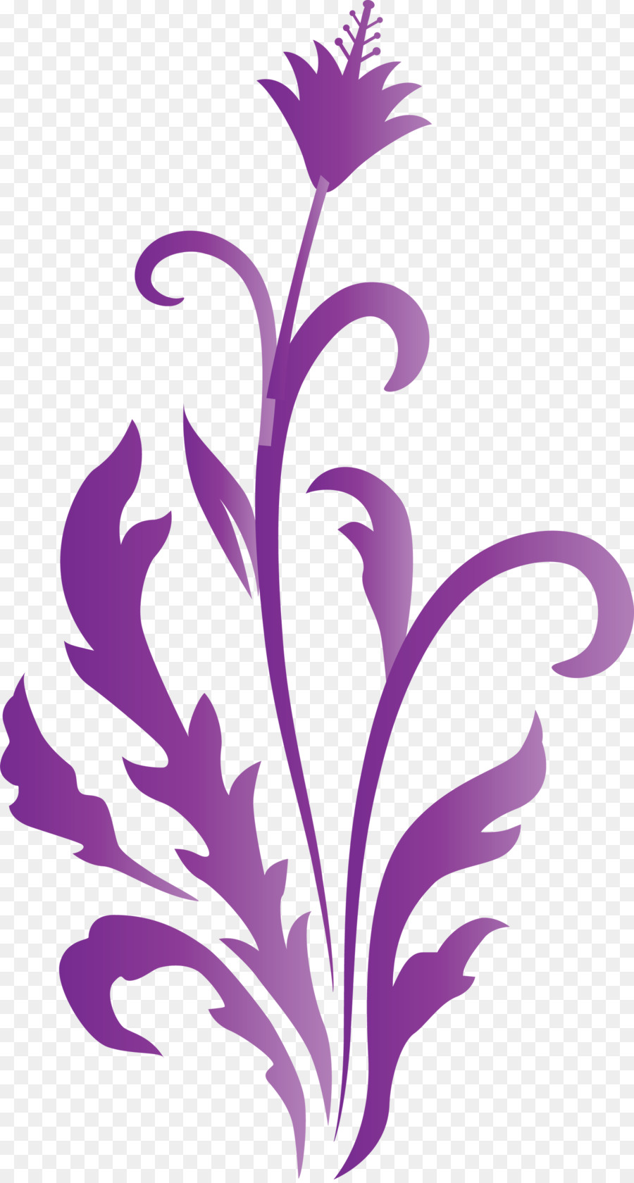 Violeta，Morado PNG