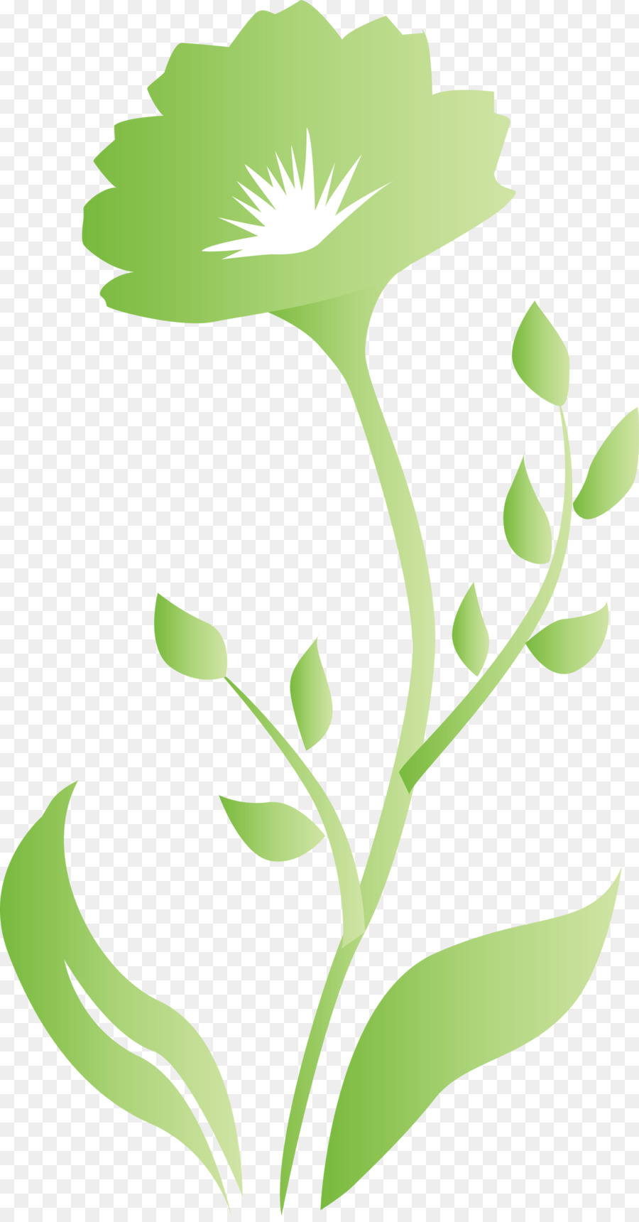 Verde，Hoja PNG