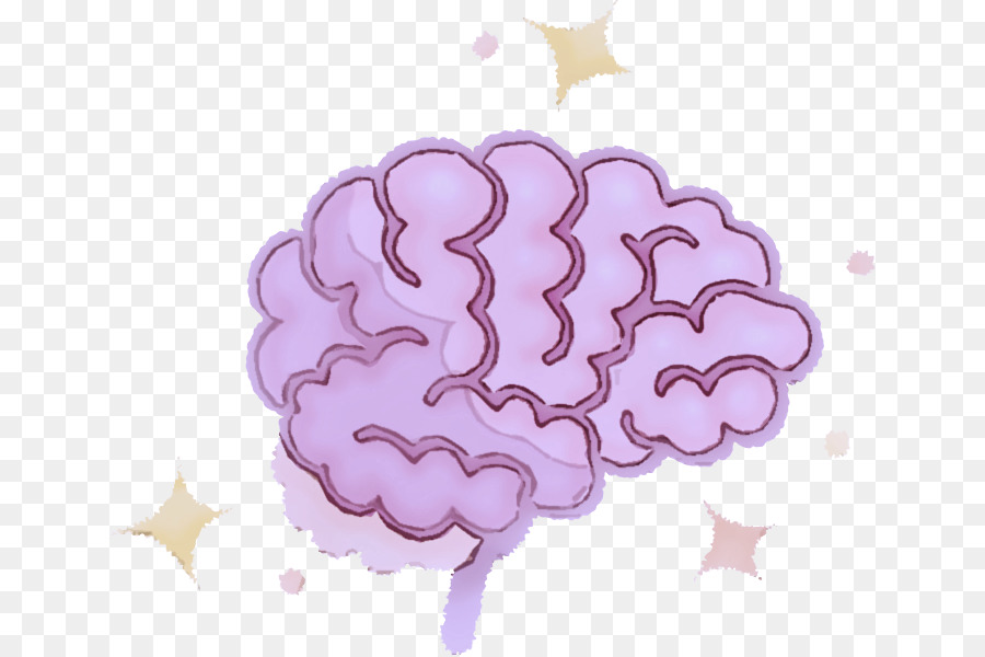 Cerebro Naranja，Cerebro PNG