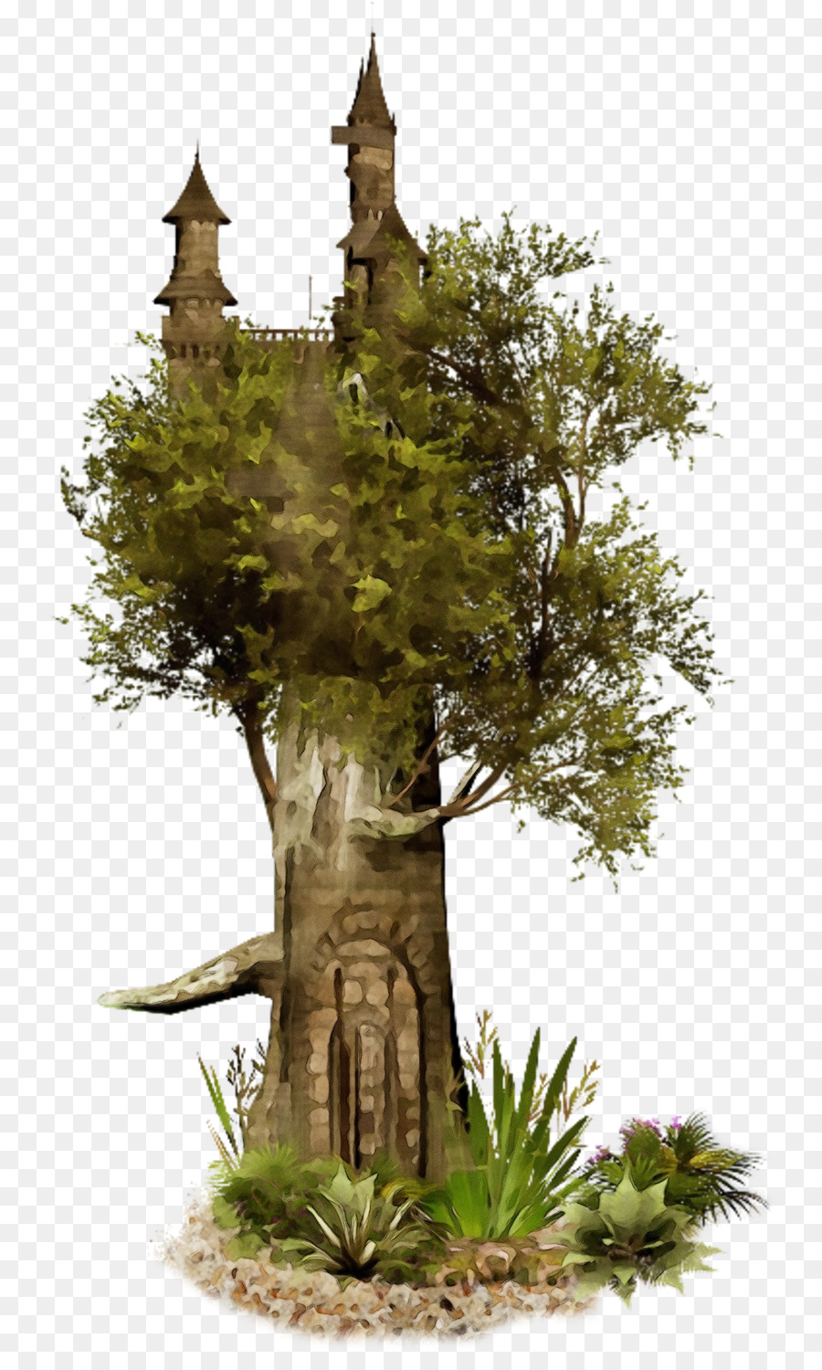 Árbol，La Vegetación PNG