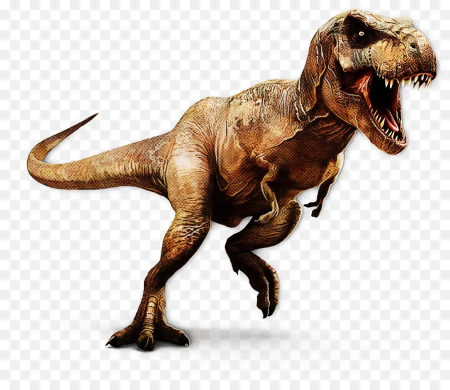 Dinosaurio，Animal Figura PNG