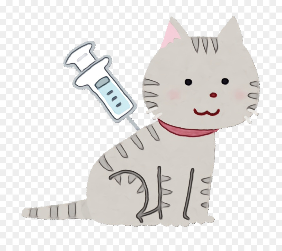 Gato Con Jeringa，Jeringuilla PNG