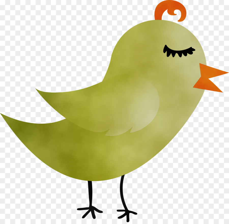 Pájaro，Verde PNG