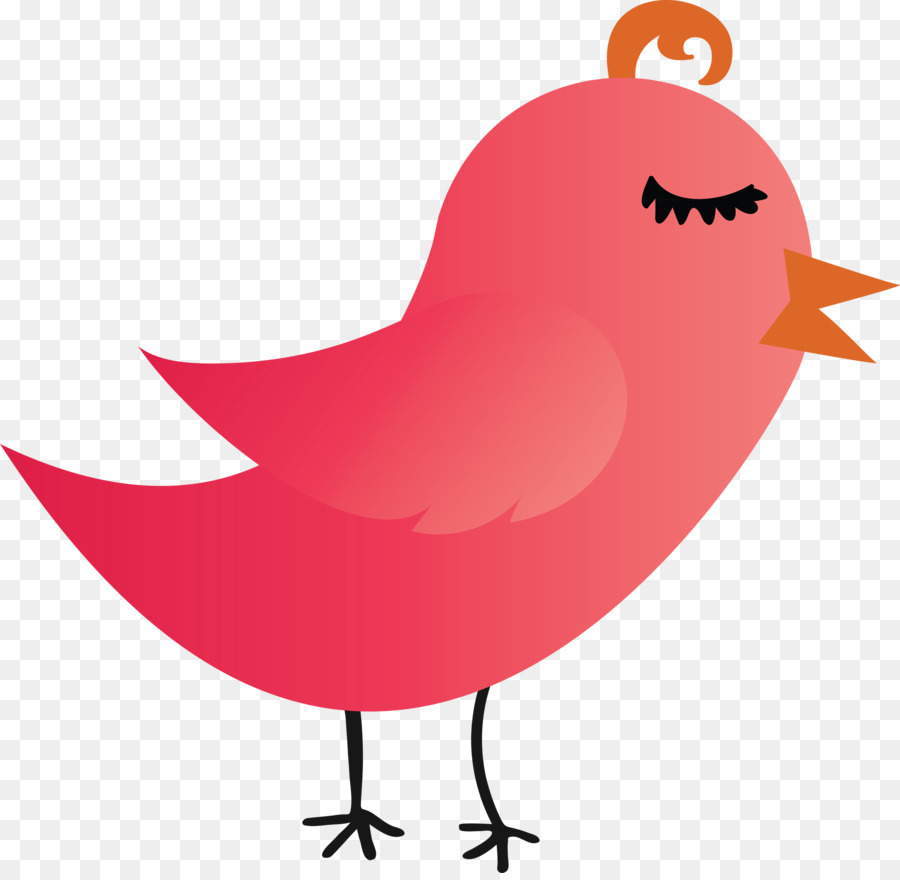 Pájaro，Rojo PNG