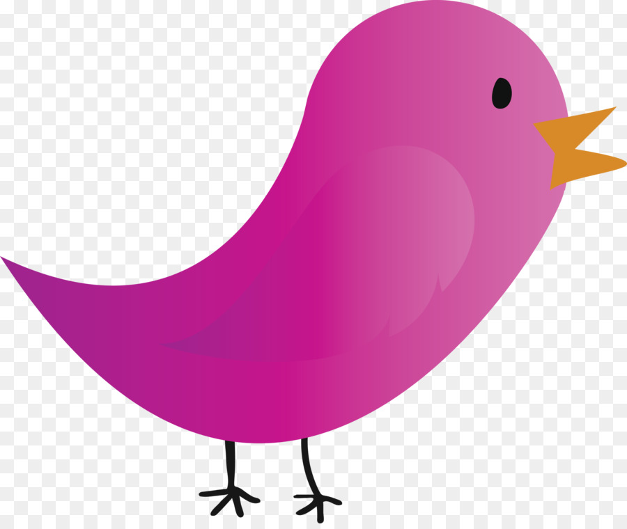 Aves，Rosa PNG