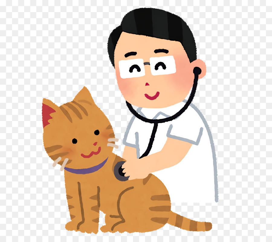 Veterinario Con Gato，Doctor PNG