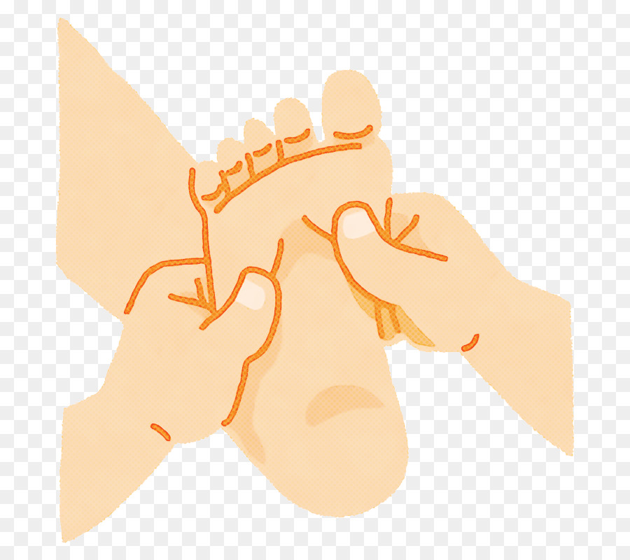 Dedo，De La Mano PNG