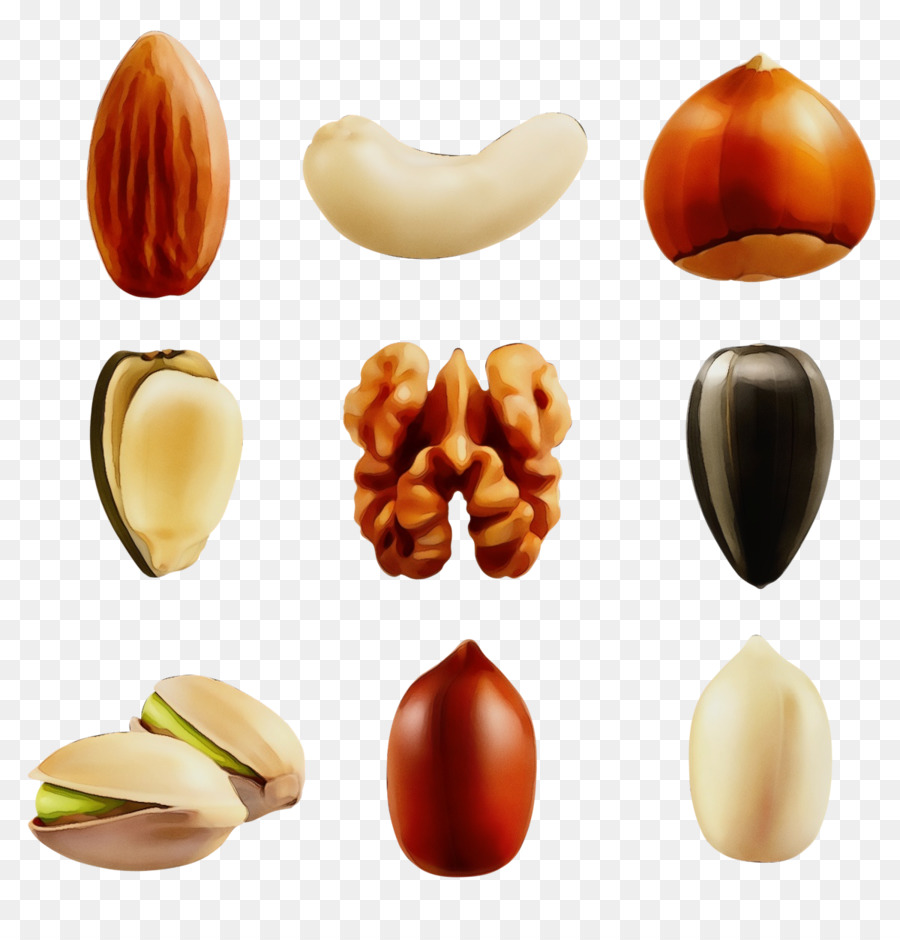 Tuerca，Nueces Semillas PNG