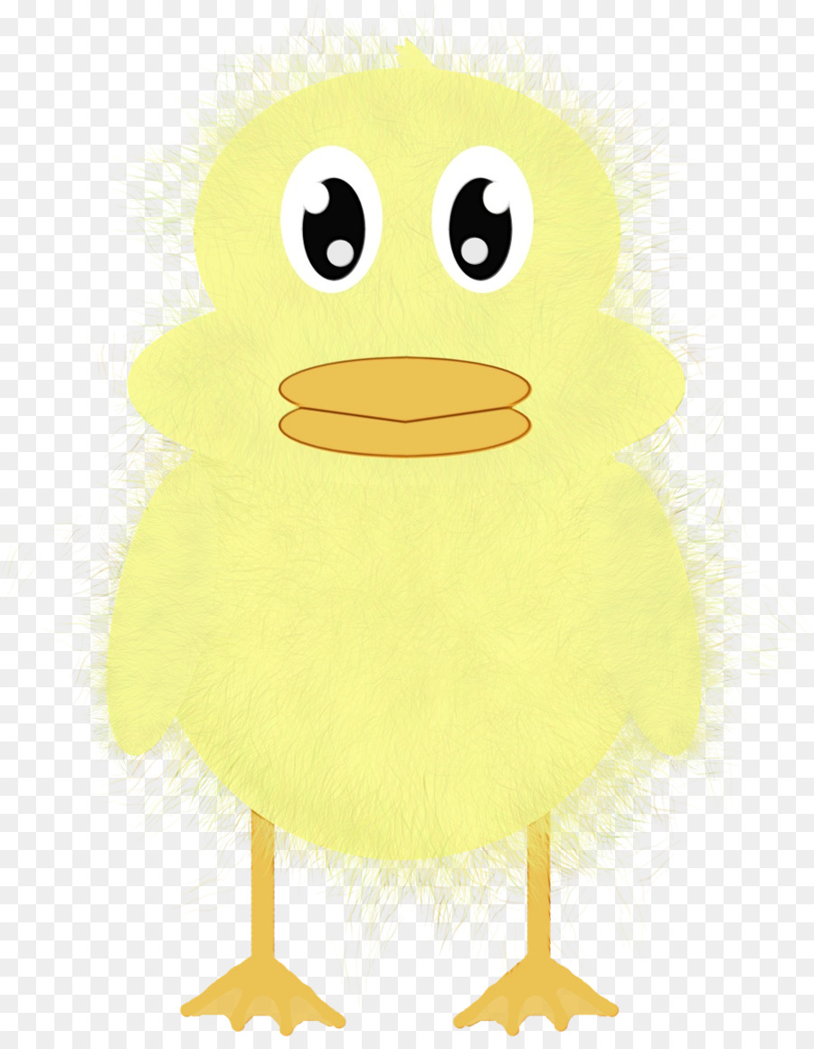 Amarillo，Aves PNG