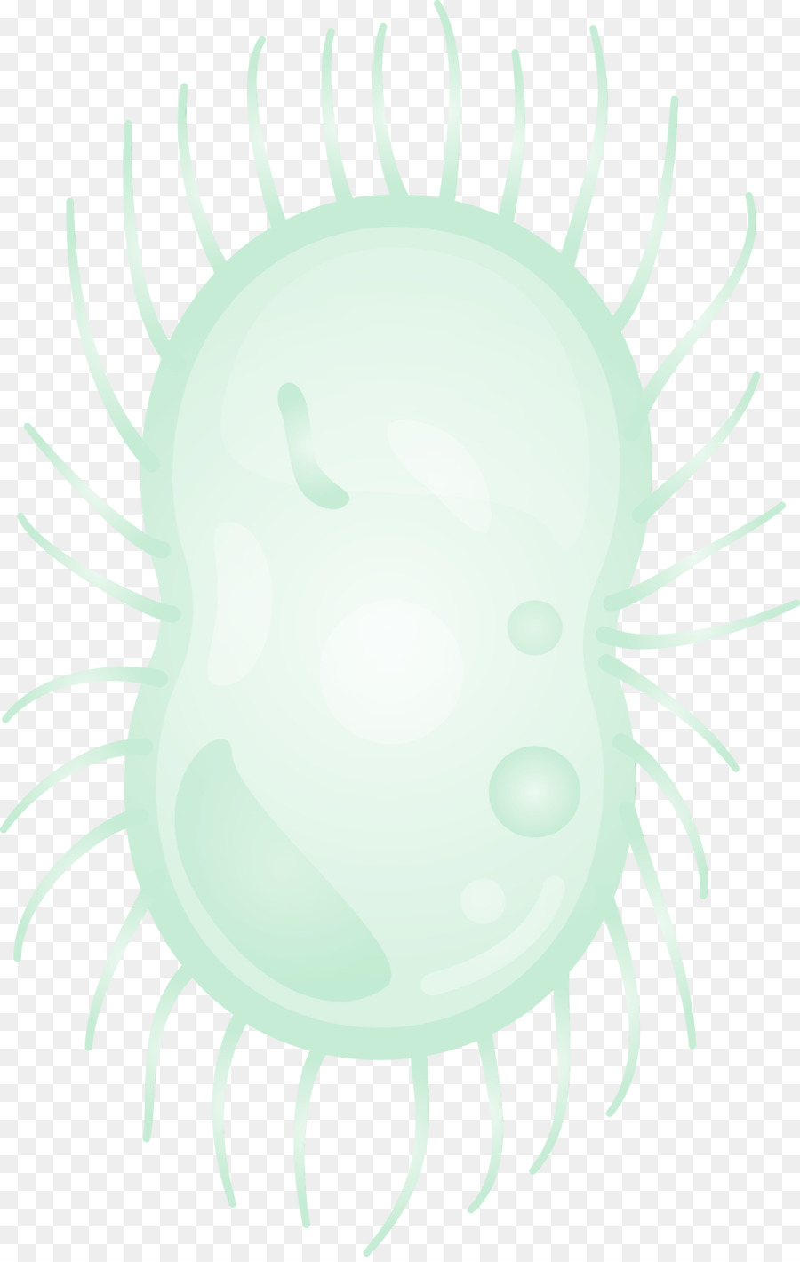 Bacteria，Verde PNG