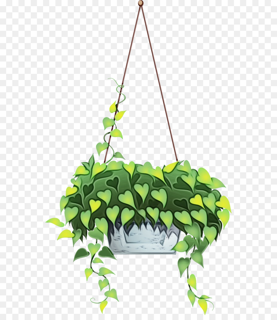 Planta Colgante，Hojas PNG