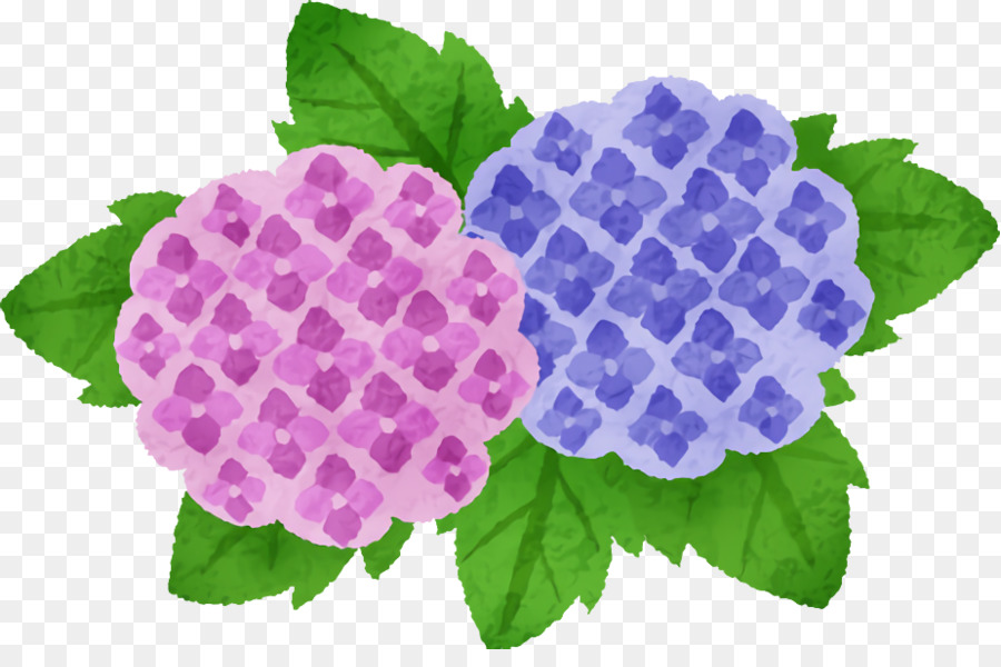 Flor，Morado PNG