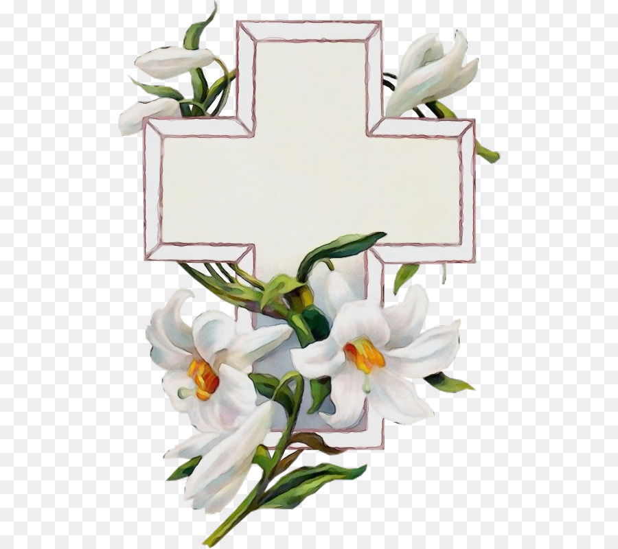 Blanco，Flor PNG