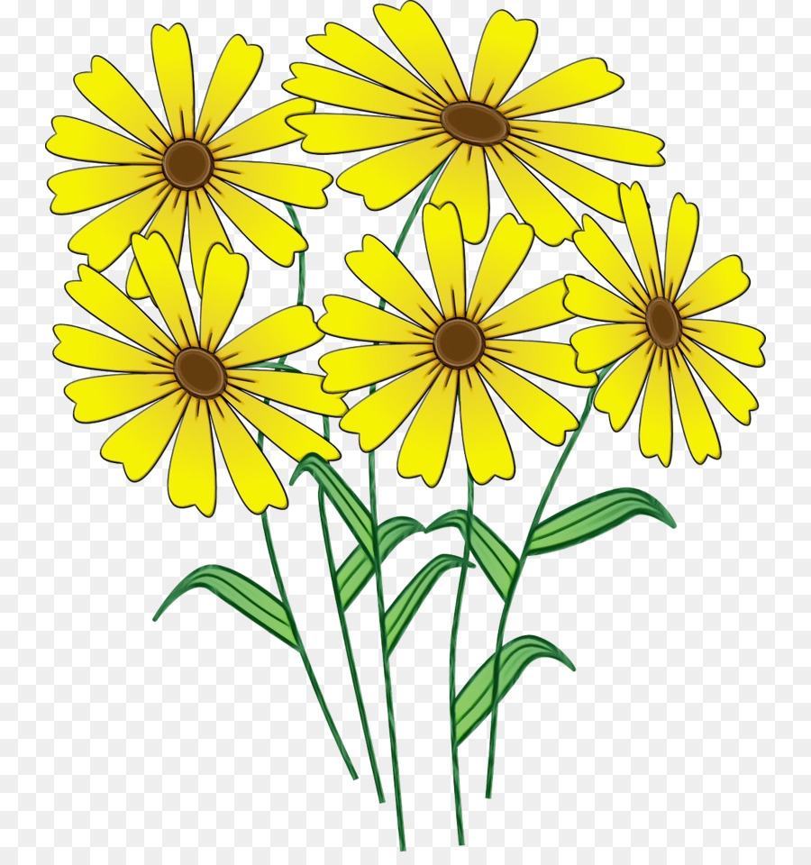 Flor，Amarillo PNG